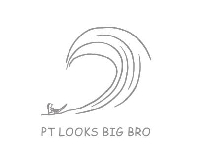 PT. Looks Big Bro