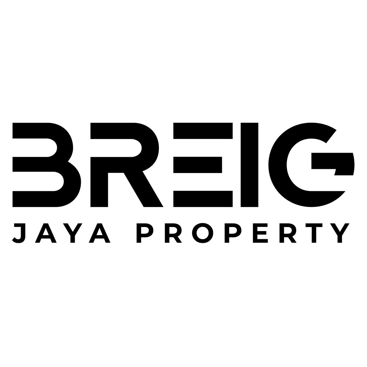 BREIG PROPERTY DEVELOPMENT